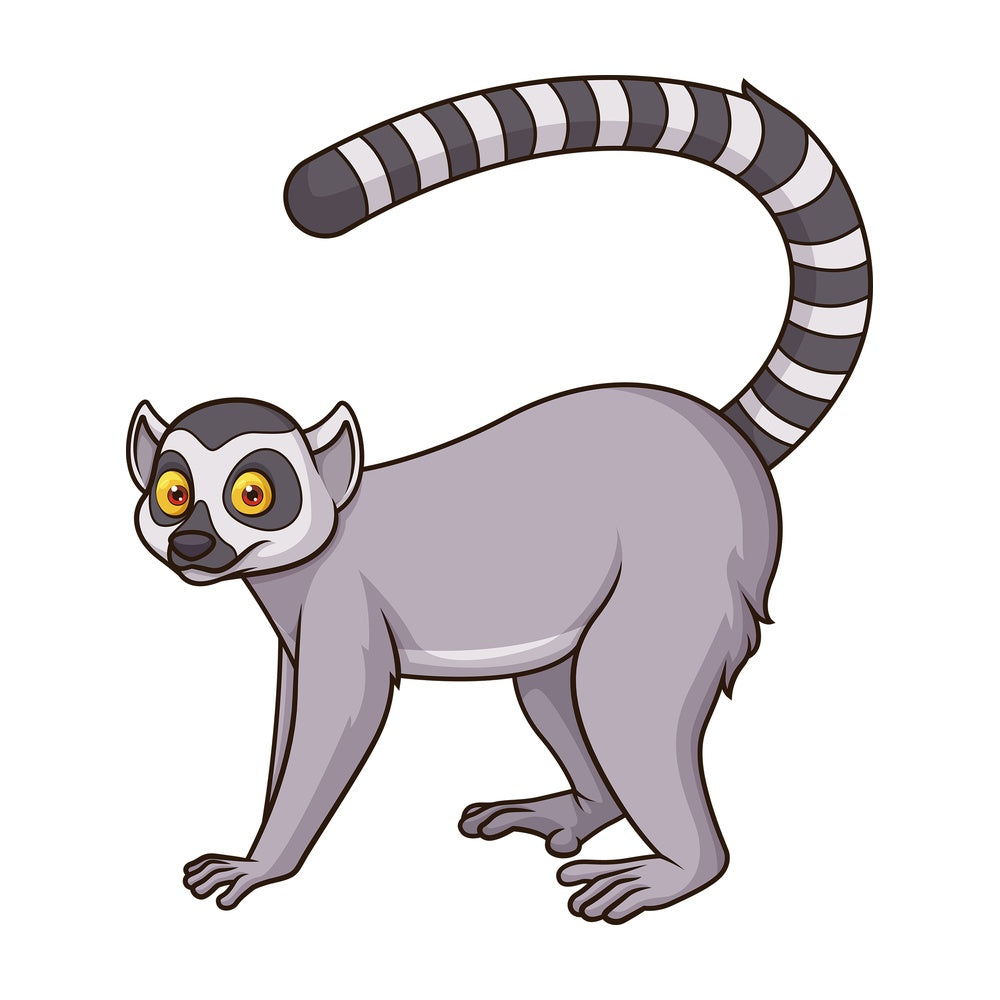 Ring tailed lemur. PNG - JPG and vector EPS (infinitely scalable).