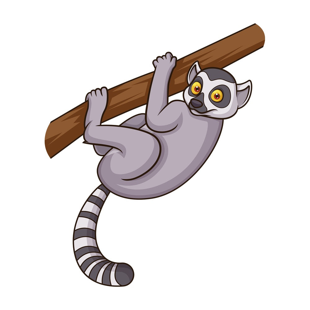 Wild lemur. PNG - JPG and vector EPS (infinitely scalable).
