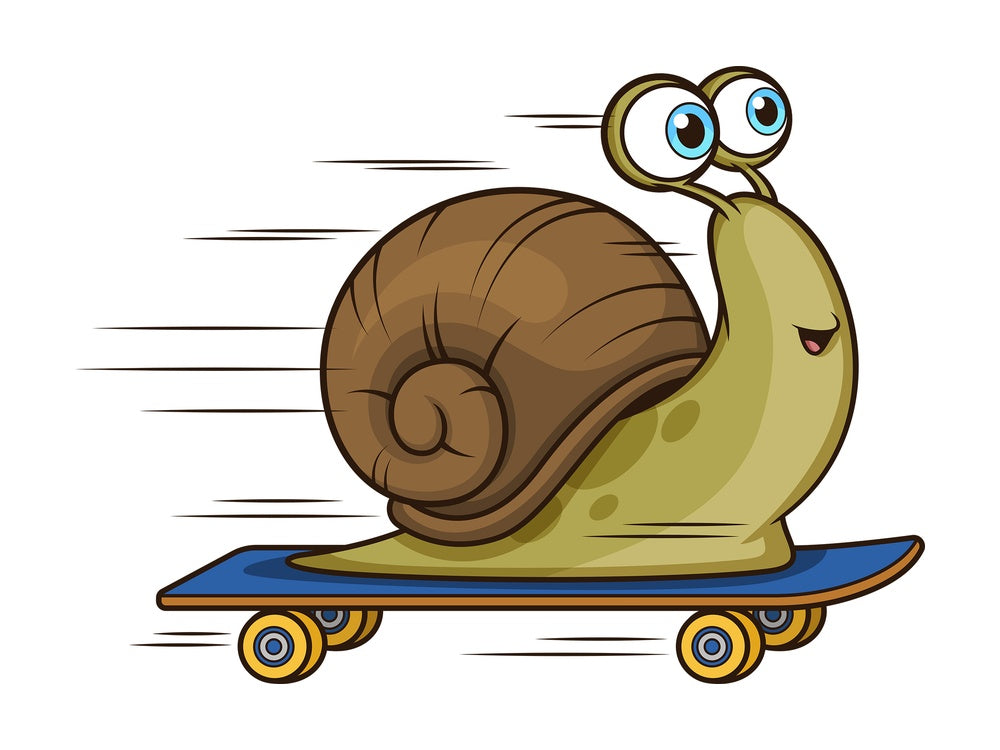 Snail on skateboard. PNG - JPG and vector EPS (infinitely scalable).