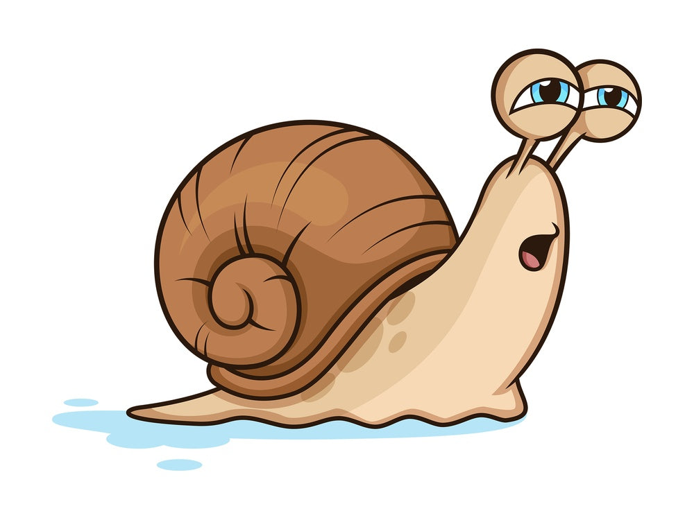 Slow moving snail. PNG - JPG and vector EPS (infinitely scalable).