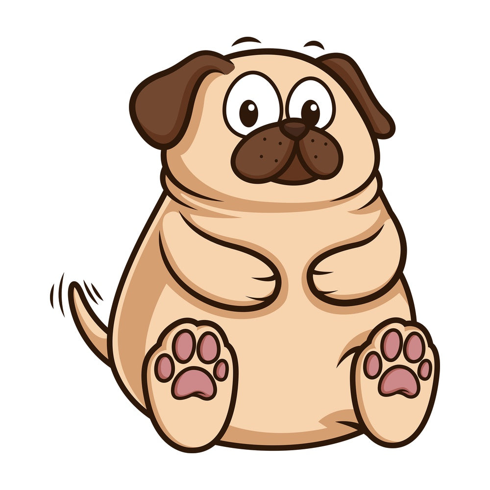 Chubby pug puppy. PNG - JPG and vector EPS (infinitely scalable).