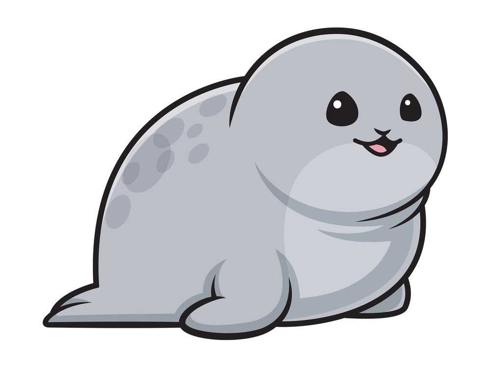 Chubby seal. PNG - JPG and vector EPS (infinitely scalable).