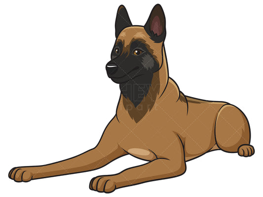 Royalty-free stock vector illustration of a belgian shepherd lying down.