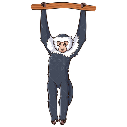 Royalty-free stock vector illustration of a capuchin monkey hanging from tree.