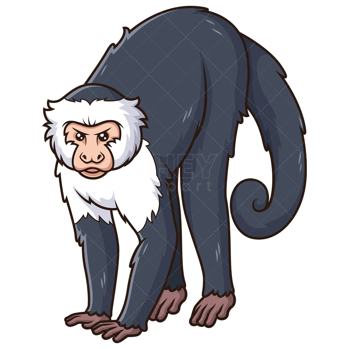 Royalty-free stock vector illustration of a angry capuchin monkey.