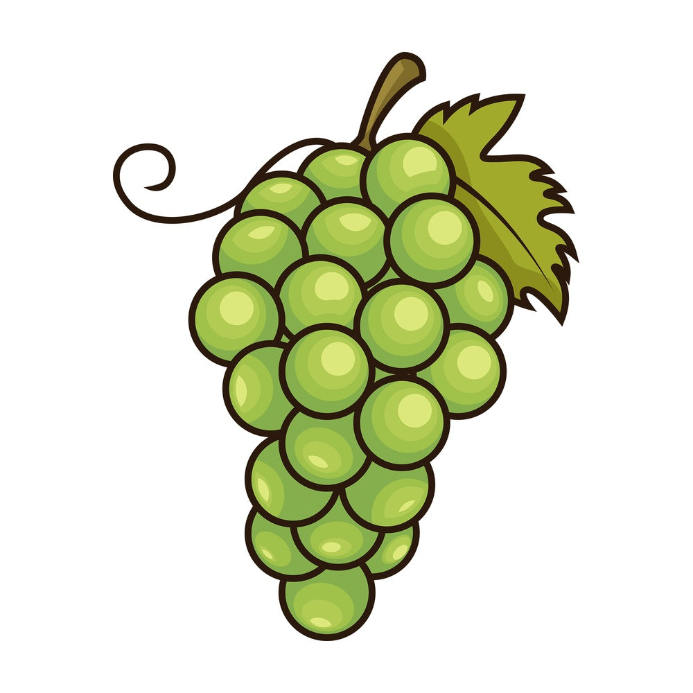 Green grapes. PNG - JPG and vector EPS file formats (infinitely scalable). Image isolated on transparent background.