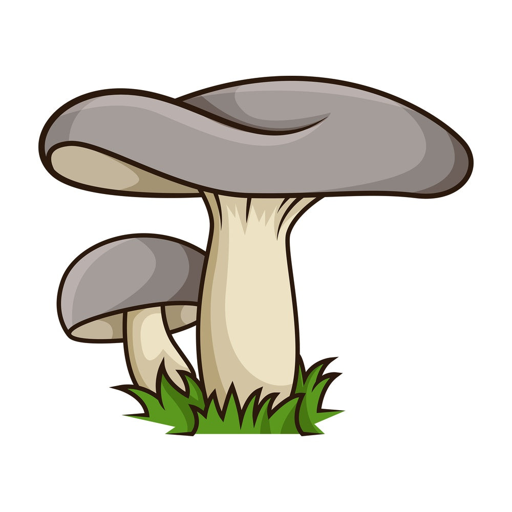 Gray mushroom. PNG - JPG and vector EPS file formats (infinitely scalable). Image isolated on transparent background.