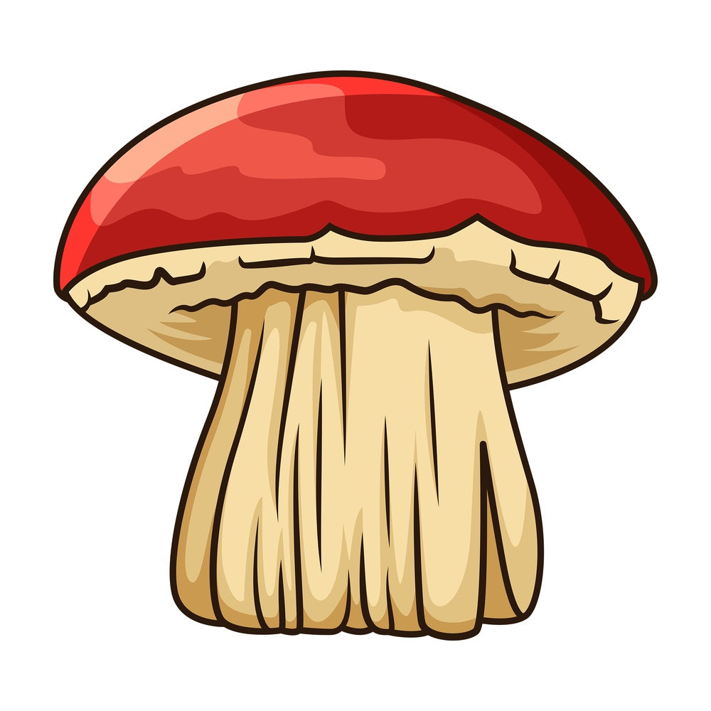 Big red mushroom. PNG - JPG and vector EPS file formats (infinitely scalable). Image isolated on transparent background.