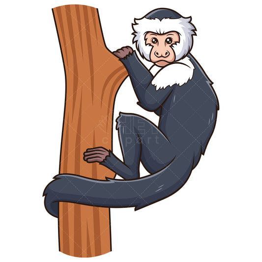 Royalty-free stock vector illustration of a capuchin monkey climbing tree.