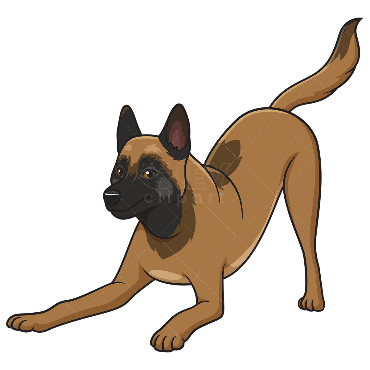 Royalty-free stock vector illustration of a playful belgian shepherd.