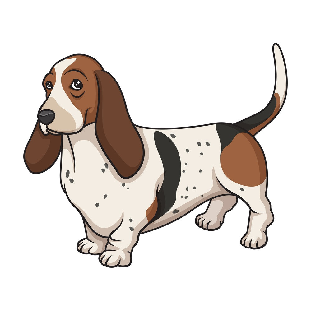 Proud basset hound. PNG - JPG and vector EPS (infinitely scalable).