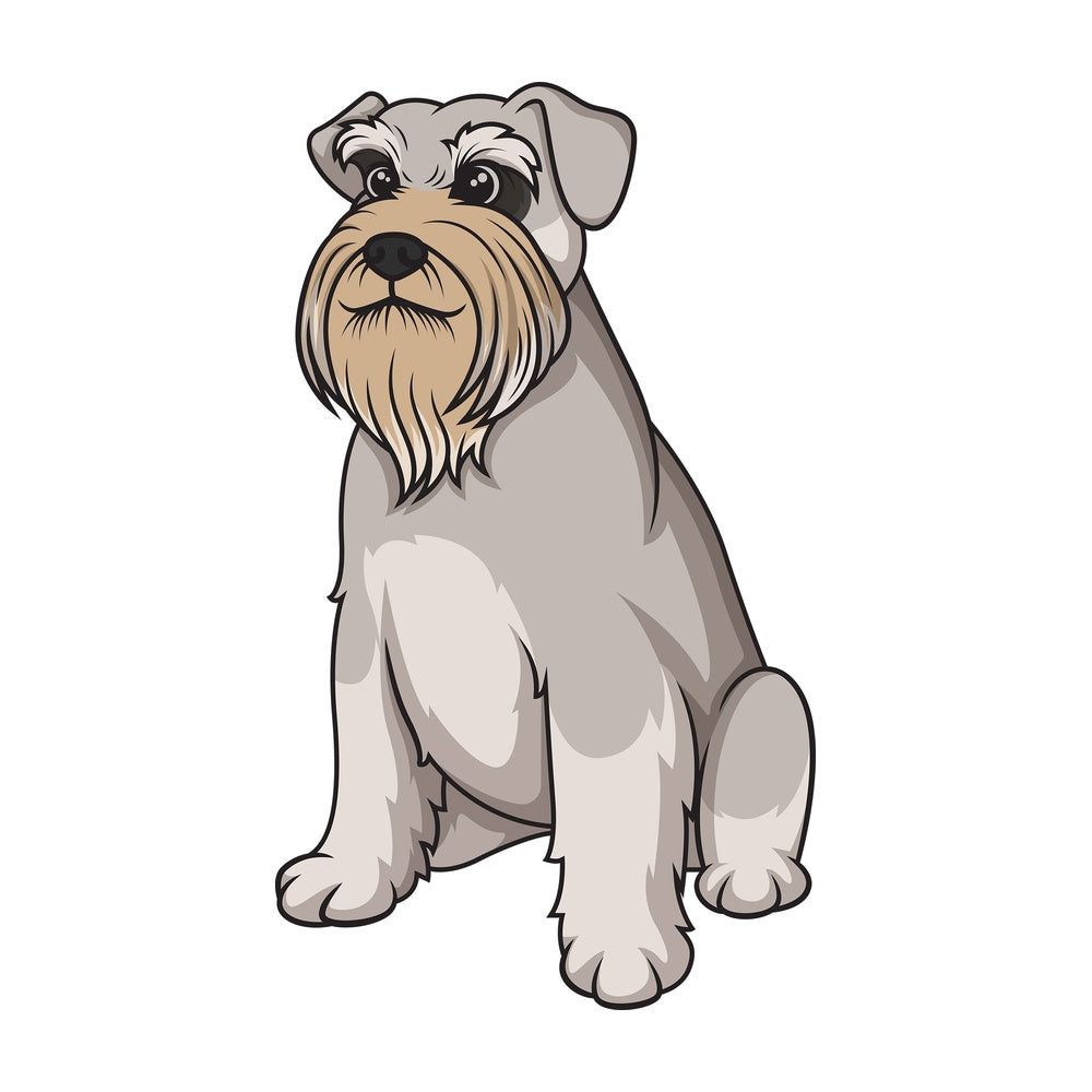 Obedient schnauzer sitting. PNG - JPG and vector EPS (infinitely scalable).