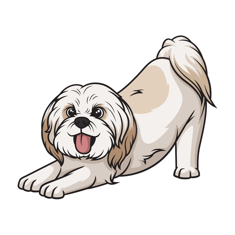 Playful shih tzu. PNG - JPG and vector EPS (infinitely scalable).
