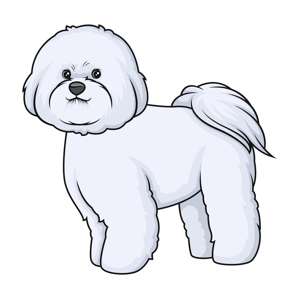 Proud bichon frise. PNG - JPG and vector EPS (infinitely scalable).