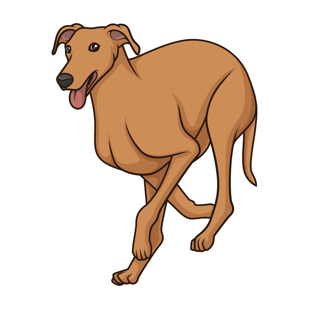 Greyhound running. PNG - JPG and vector EPS (infinitely scalable).