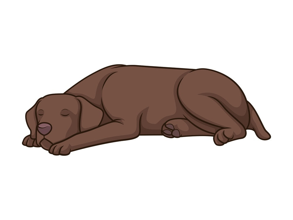 Pointer sleeping. PNG - JPG and vector EPS (infinitely scalable).