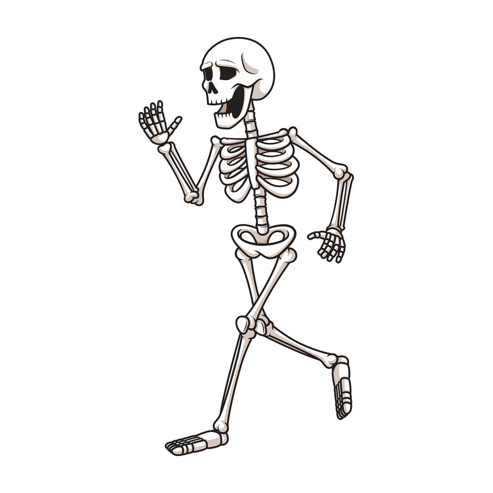Skeleton running away. PNG - JPG and vector EPS (infinitely scalable).