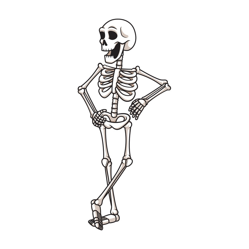 Skeleton leaning on something. PNG - JPG and vector EPS (infinitely scalable).