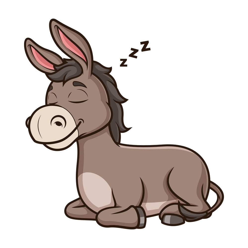 Donkey sleeping. PNG - JPG and vector EPS (infinitely scalable).