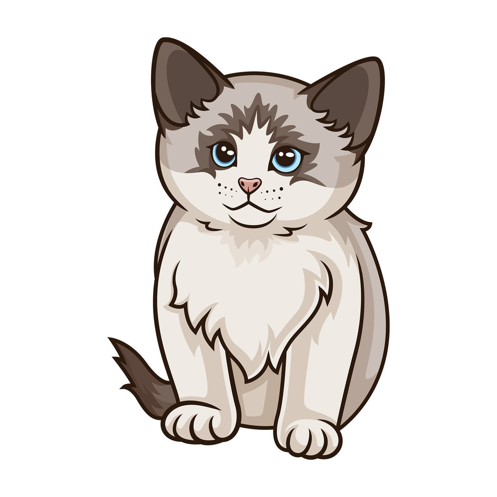 Ragdoll kitten. PNG - JPG and vector EPS (infinitely scalable).
