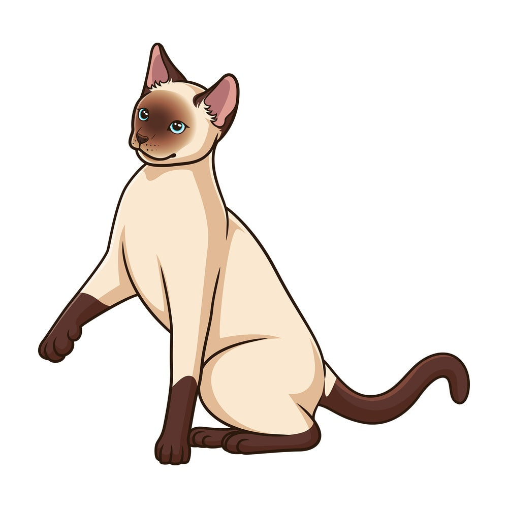 Playful siamese cat. PNG - JPG and vector EPS (infinitely scalable).