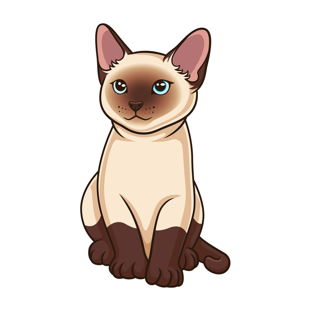 Siamese kitten. PNG - JPG and vector EPS (infinitely scalable).