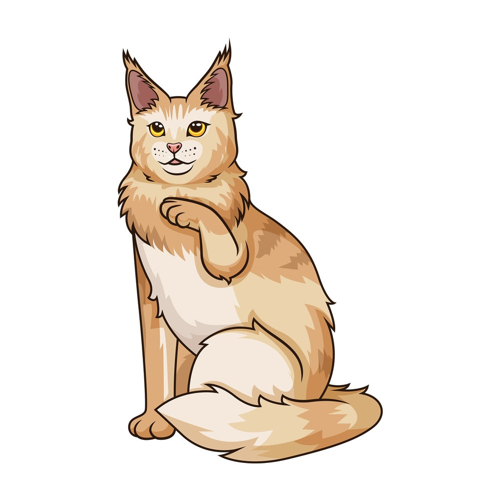 Playful maine coon cat. PNG - JPG and vector EPS (infinitely scalable).