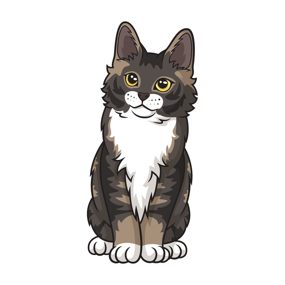 Maine coon kitten. PNG - JPG and vector EPS (infinitely scalable).