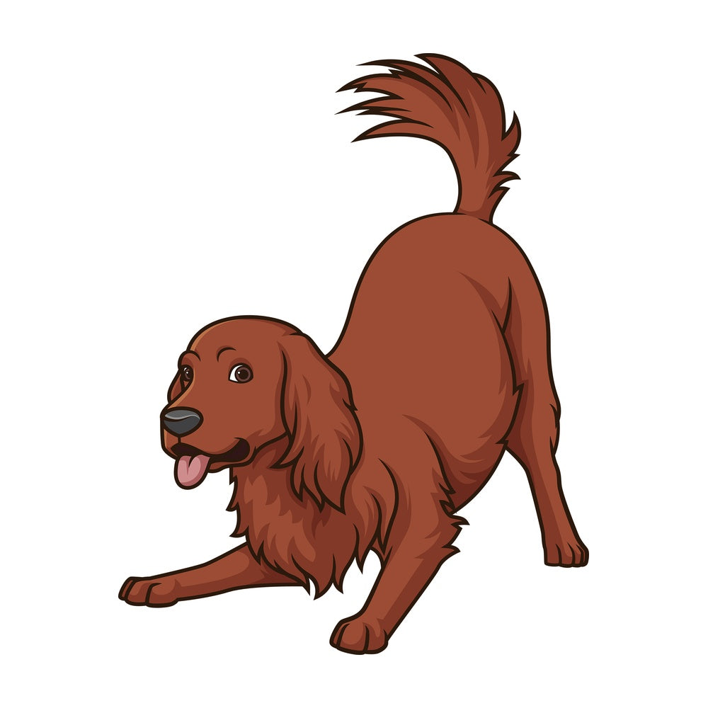 Playful irish setter. PNG - JPG and vector EPS (infinitely scalable).