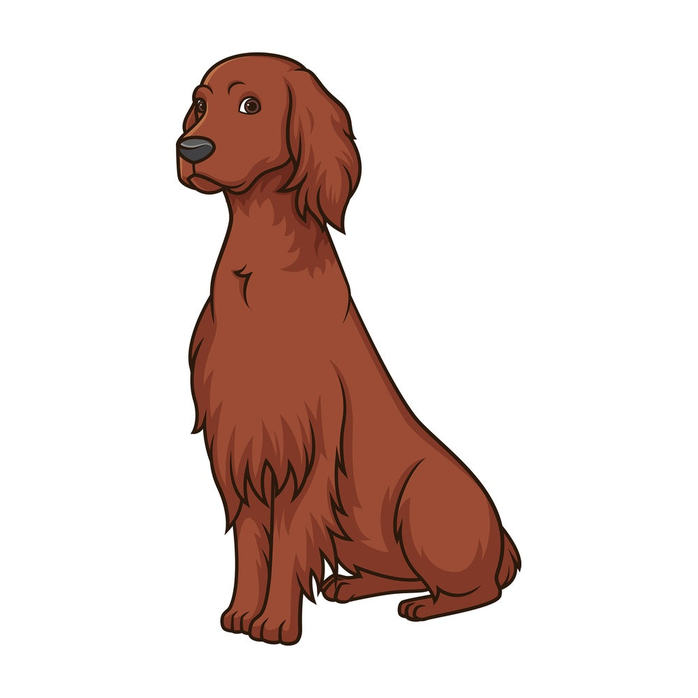 Obedient irish setter sitting. PNG - JPG and vector EPS (infinitely scalable).