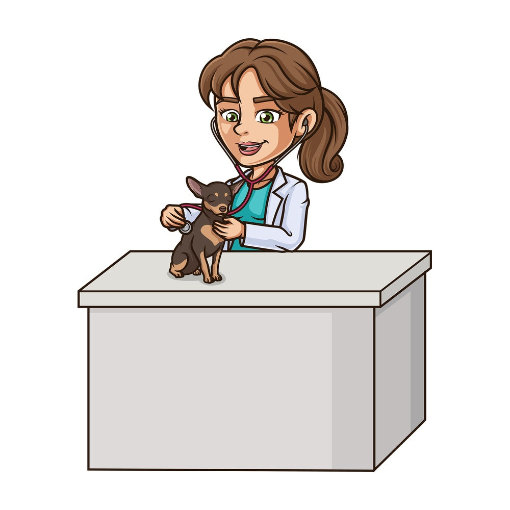 Female veterinarian examining dog. PNG - JPG and vector EPS (infinitely scalable).