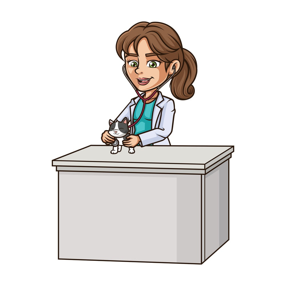 Female veterinarian examining cat. PNG - JPG and vector EPS (infinitely scalable).
