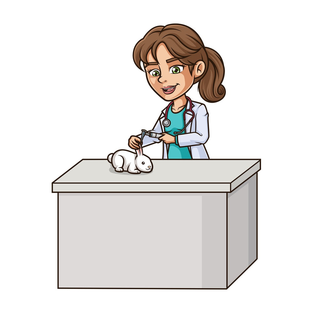 Female veterinarian examining rabbit. PNG - JPG and vector EPS (infinitely scalable).