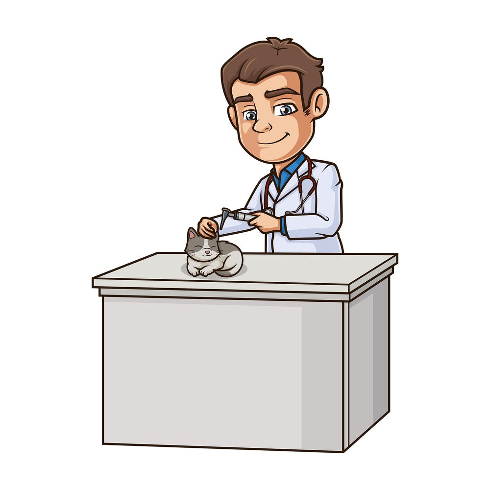 Male veterinarian examining cat's ear. PNG - JPG and vector EPS (infinitely scalable).