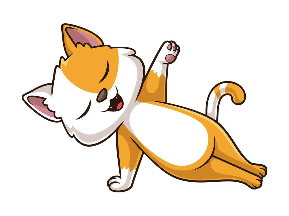 Cat doing yoga. PNG - JPG and vector EPS (infinitely scalable).