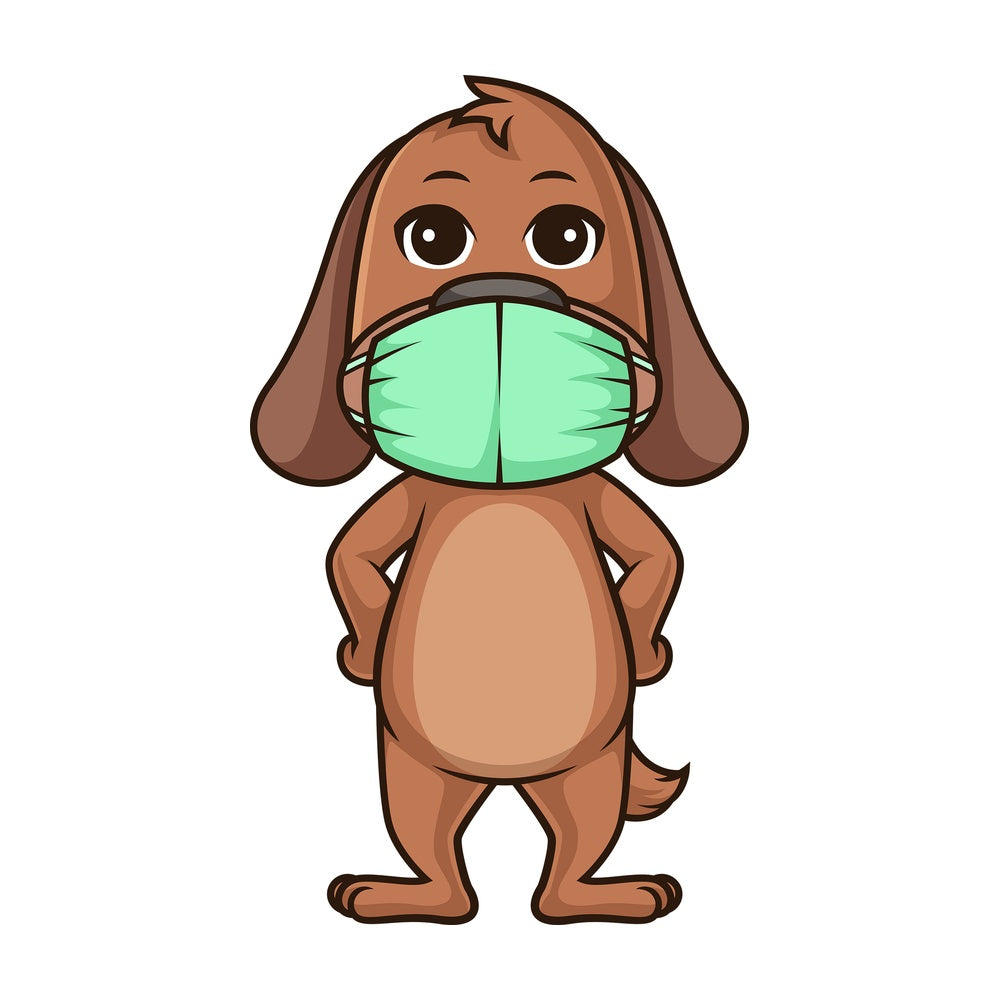 Pup with face mask. PNG - JPG and vector EPS (infinitely scalable).