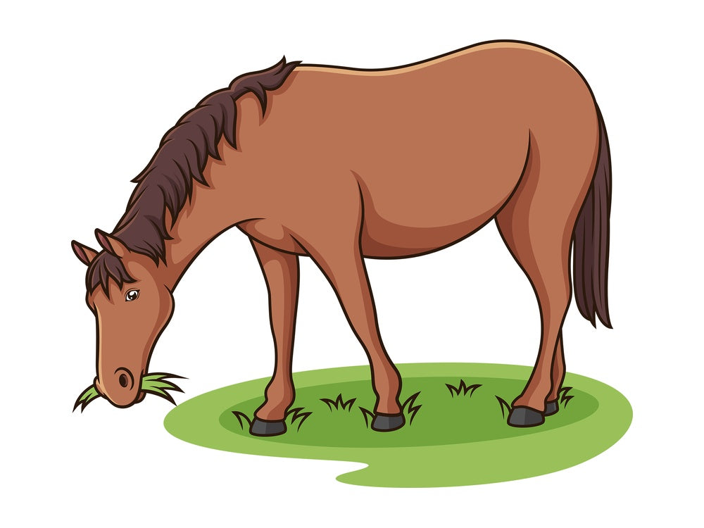 Horse eating grass. PNG - JPG and vector EPS (infinitely scalable).