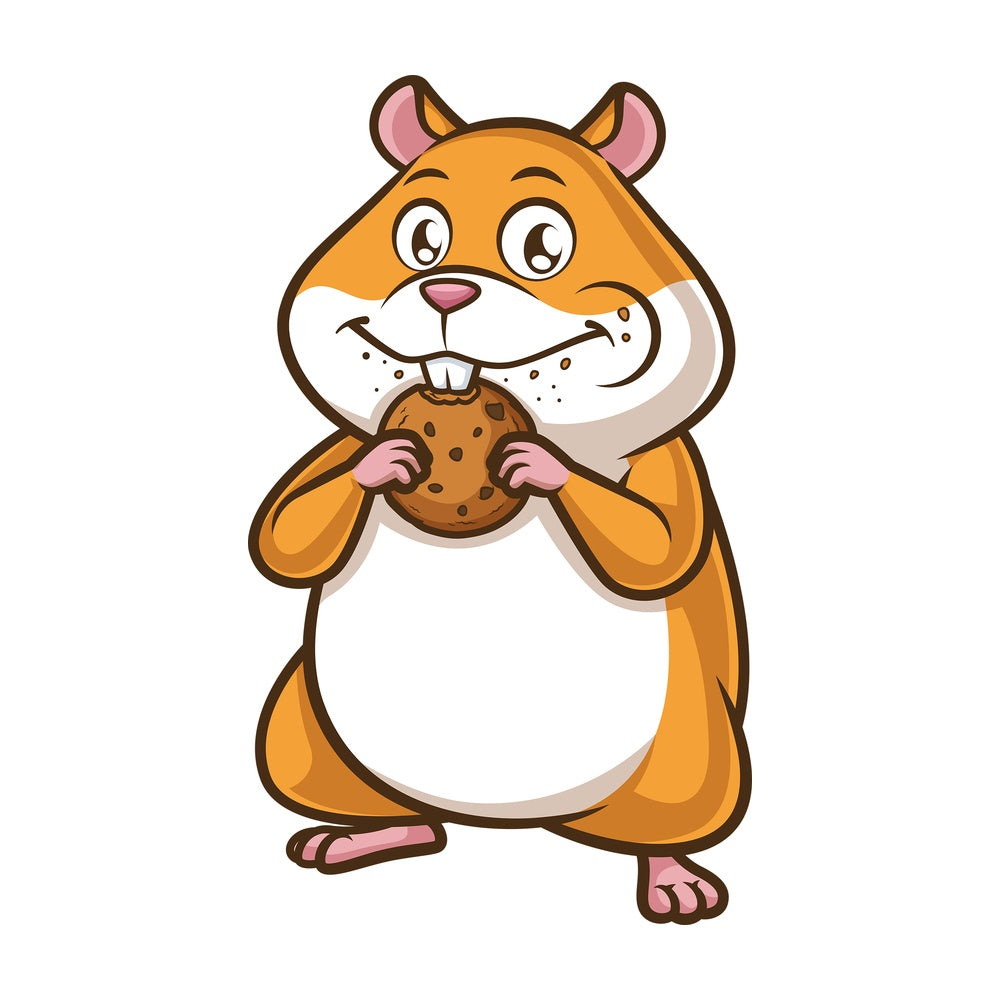 Hamster eating cookie. PNG - JPG and vector EPS (infinitely scalable).