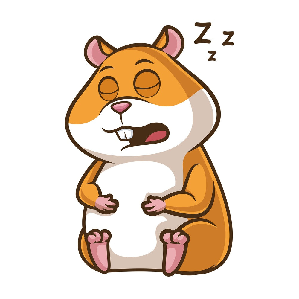 Hamster sleeping. PNG - JPG and vector EPS (infinitely scalable).