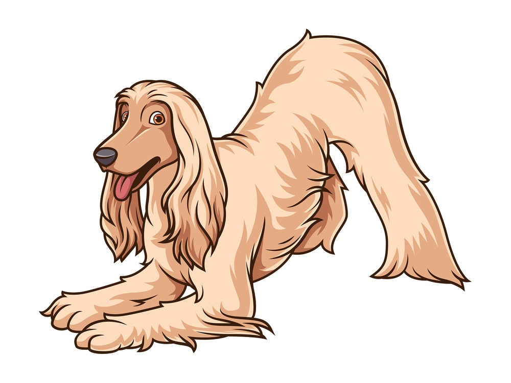 Playful afghan hound. PNG - JPG and vector EPS (infinitely scalable).