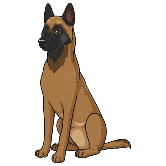Royalty-free stock vector illustration of an obedient belgian shepherd sitting.