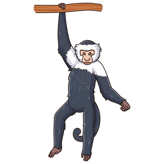 Royalty-free stock vector illustration of a playful capuchin monkey.