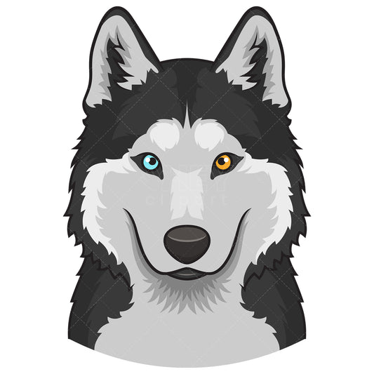 Royalty-free stock vector illustration of a siberian husky face.