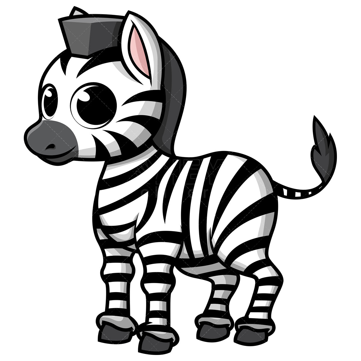 Royalty-free stock vector illustration of a cute baby zebra.