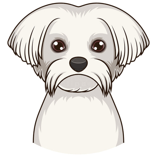 Royalty-free stock vector illustration of a maltese face.