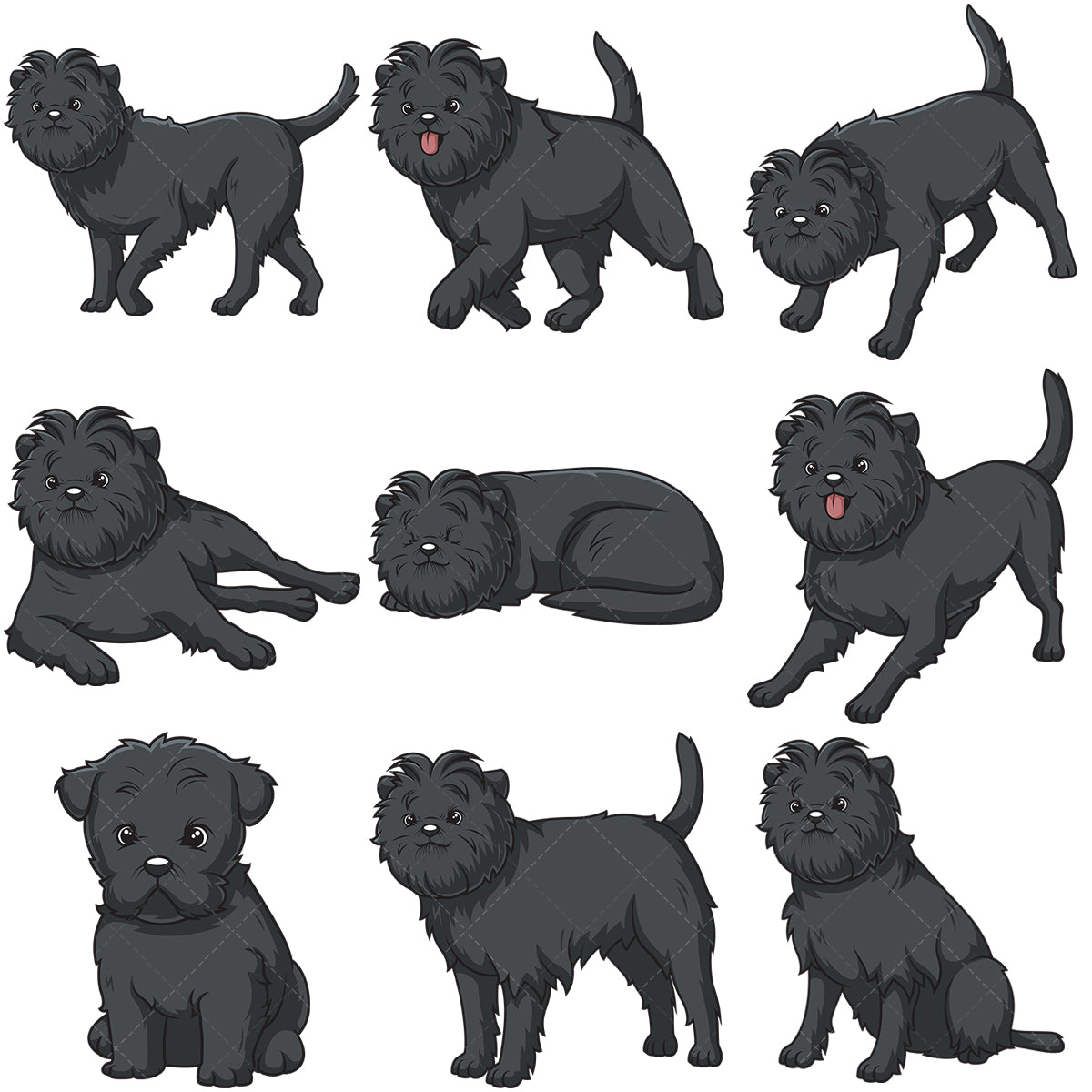 A bundle of 9 royalty-free stock vector illustrations of affenpinscher dogs.