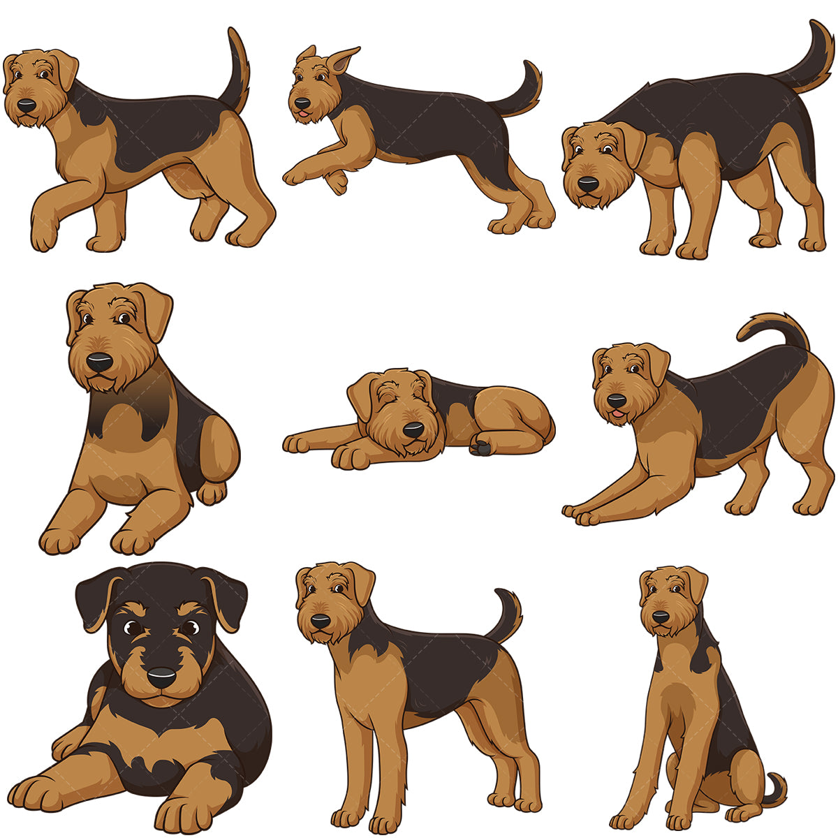 A bundle of 9 royalty-free stock vector illustrations of airedale terrier dogs.