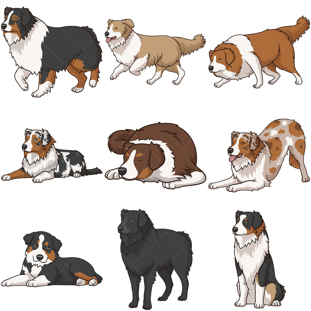 A bundle of 9 royalty-free stock vector illustrations of australian shepherd dogs.