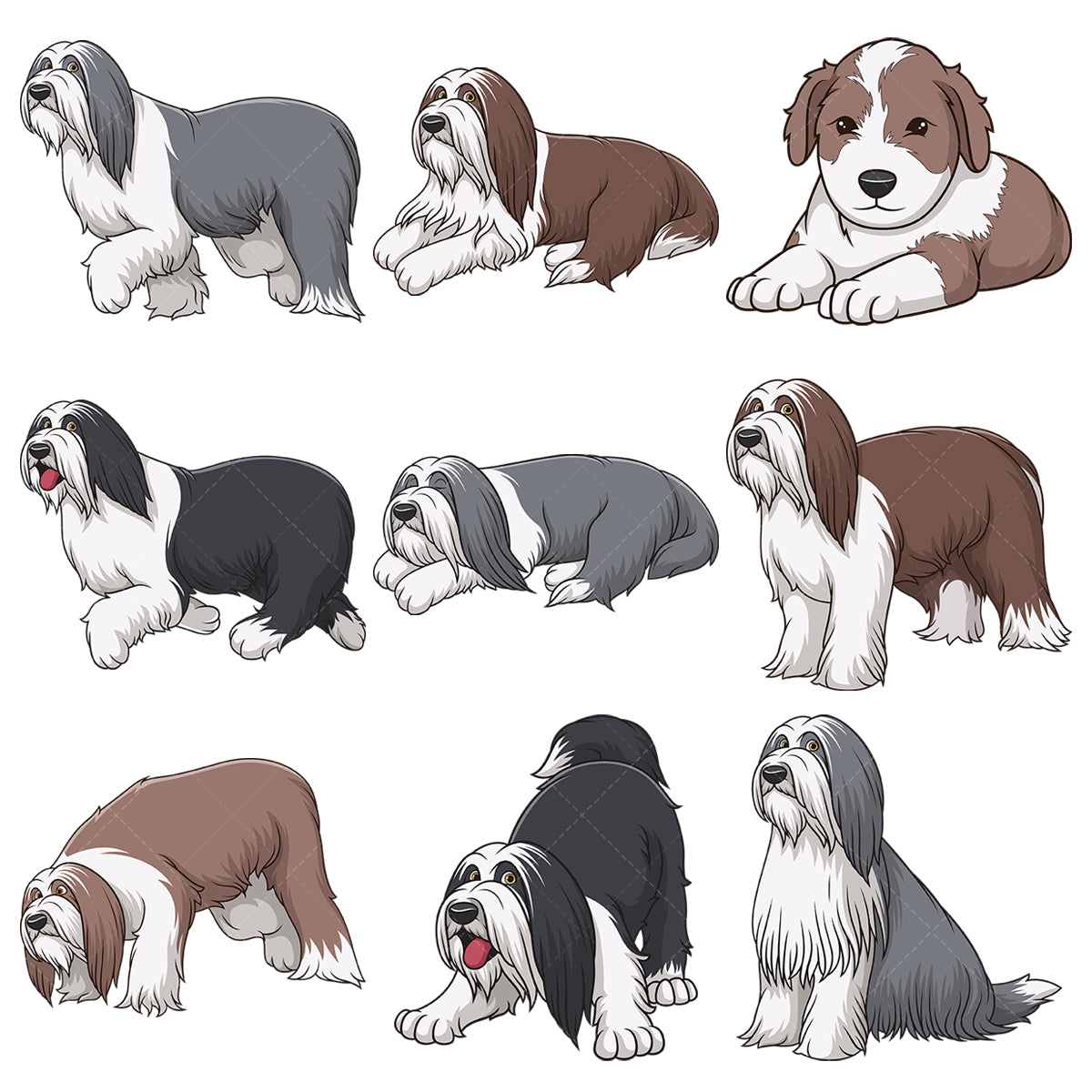 A bundle of 9 royalty-free stock vector illustrations of bearded collie dogs.