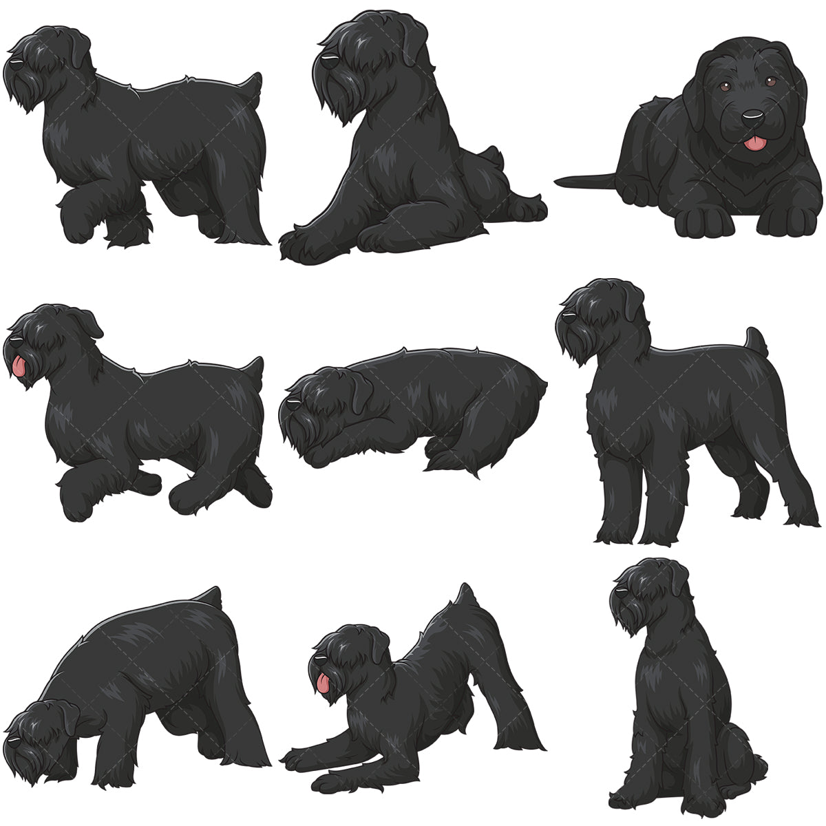 A bundle of 9 royalty-free stock vector illustrations of black russian terrier dogs.